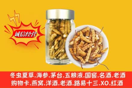 伊犁沙湾县回收散虫草