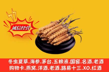 伊犁沙湾县名酒回收冬虫夏草.jpg